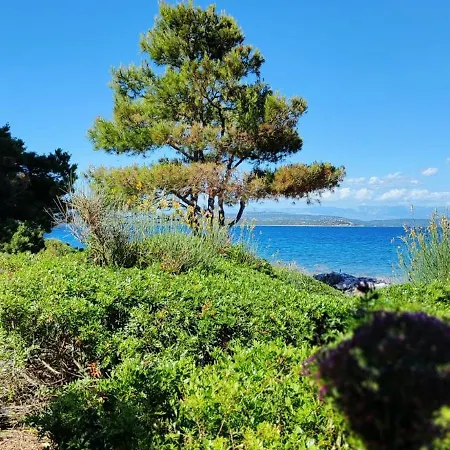Vila Ruzica Holiday home *